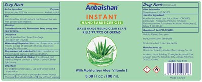 Package Label (Label 75 Instant Hand Sanitizer Gel 100ml Final)